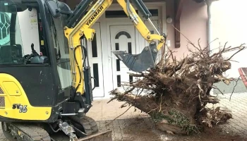 Bobcat bérlés gépi Foldmunka fakivágás földmunka Tereprendezes Papfoldgep - György U. 7