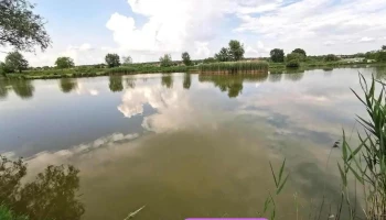 Ceglédberceli Tőzeg tavak - Várpalota