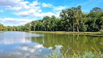 Dégi Park-tó - 8135