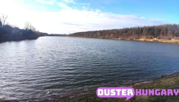 Duzzasztógát - Süllő U. 23