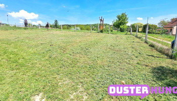 Fűkaszálás, fűnyírás és kertgondozás – Velencei-tó és környéke - Templom U. 54