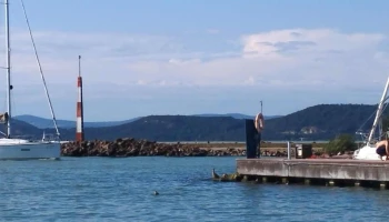 Galamb-sziget - Balatonföldvár