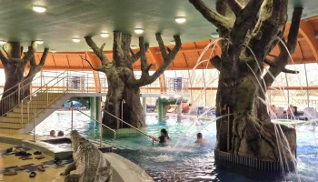 Hungarospa Aqua-Palace - Hajdúszoboszló