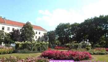 Kecskeméti Szc Kada Elek Technikum - Kecskemét