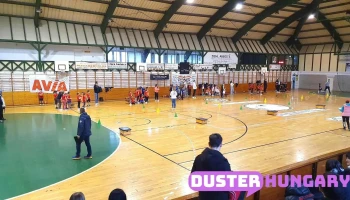 Kiss László Városi Sportcsarnok - Park U. 16 Szám