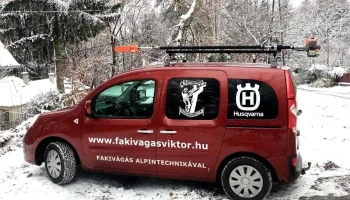 Koós Viktor Alpinista Favágó - Szentlélek U. 33