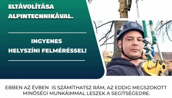 Kraszna Alpin, Veszélyes helyzetű fák eltávolítása - Kraszna U. 8