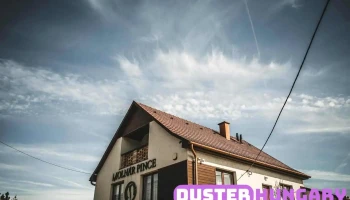 Molnár és Fiai Pincészet Kft. - Abasár