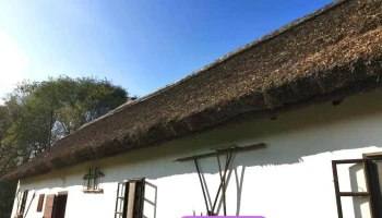 Nádtető készítés javítás és egyéb tetők készítése - Arany János U. 72