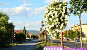 Nemzeti Dohánybolt Szerencs - Gyár Utca 14