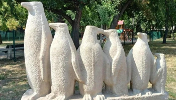 Pingvin család - Budapest