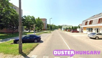 Rinza Autósbolt és Gyorsszerviz - Tiszaújváros