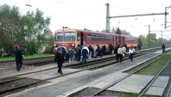 Sásd - Sásd