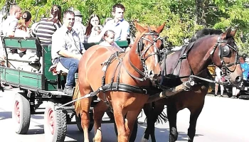 Zsikla Gumi Kft. - Vécsey Károly Utca 1