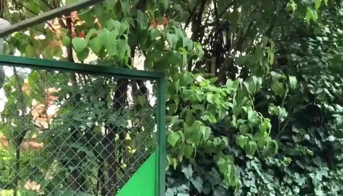 Alessio Kavezo Etterem Videok - Budapest