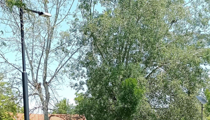 Alsoreti Szabadstrand Hogyan Lehet Odajutni - Balatonkenese