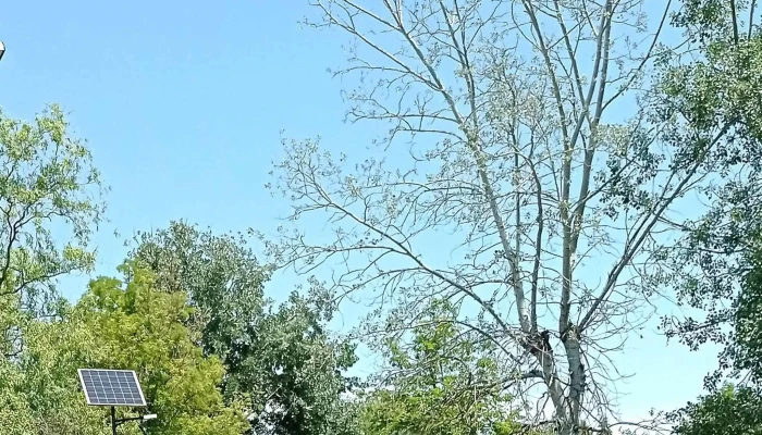 Alsoreti Szabadstrand Pontszam - Balatonkenese