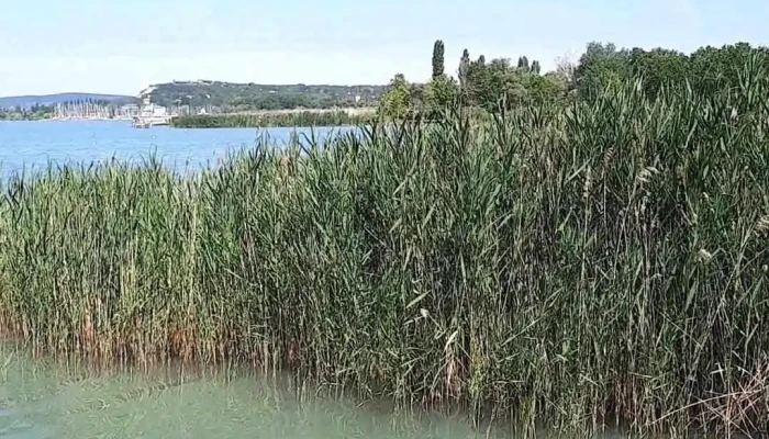 Alsoreti Szabadstrand Videok - Balatonkenese