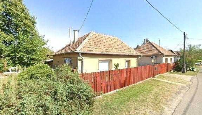 Antal Gabor Utcakep Es 360deg - Erdőkertes
