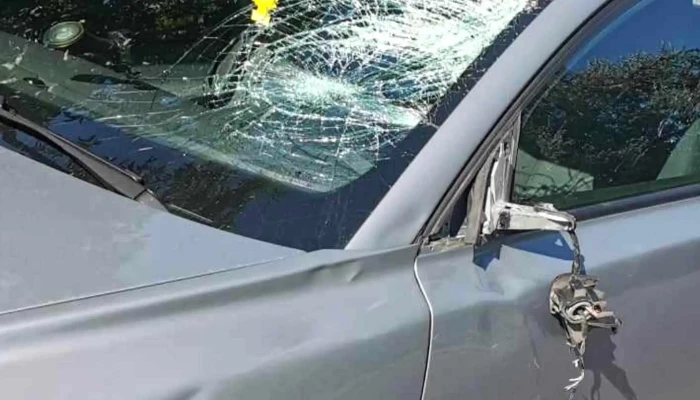 Autohorpadas Javitas   Kecskemet Weboldal - Kecskemét