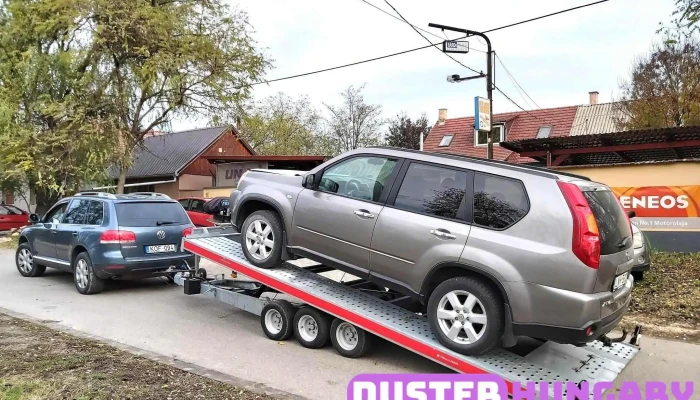 Automento    Linger Autoszerviz Gumiszerviz Automentesmotormentes Berauto A Tulajdonostol - Dunaföldvár