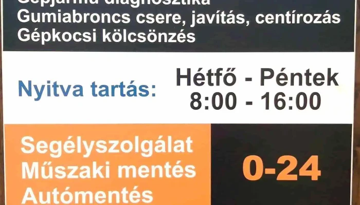 Automento    Linger Autoszerviz Gumiszerviz Automentesmotormentes Berauto Osszes - Dunaföldvár