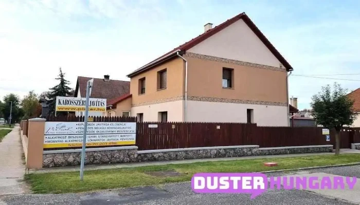 Avrancsev Zsolt -    Pir Car Karosszeria Szerviz Osszes - Tata