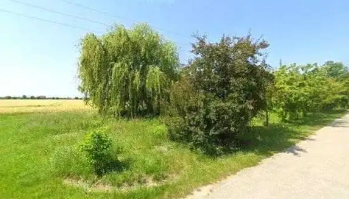 Baan Bt Osszes - Kimle