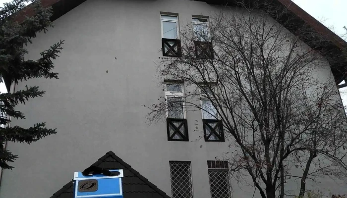 Bács-Bau Kft. - Magyar U. 34