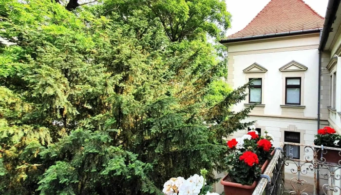 Bacs Kiskun Varmegyei Kereskedelmi Es Iparkamara Videok - Kecskemét