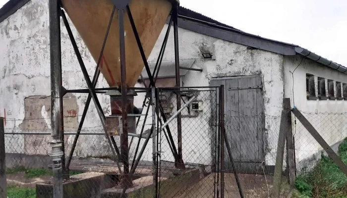 Bacsalmasi Agraripari Zrt Oalmasi Sertestelep Terulet - Bácsalmás