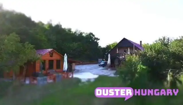 Baglyas Vendeghaz A Tulajdonostol - Edelény