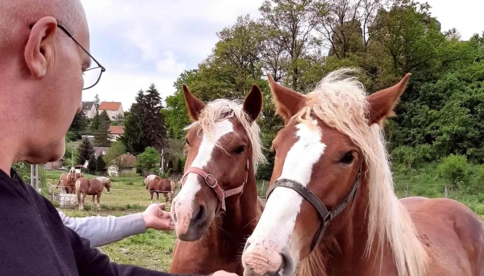 Baglyasko Var Termeszetvedelmi Latogatokozpont Kozel Hozzam - Salgótarján