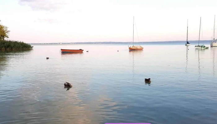 Balatonalmádi kikötő - Véghely Dezső U. 5