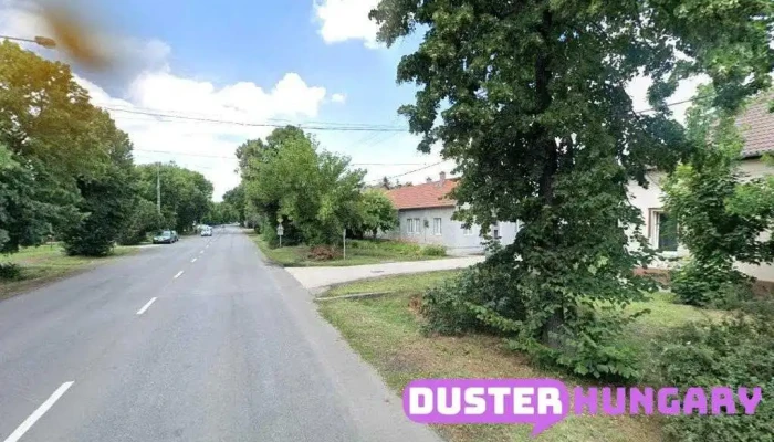 Bálint Zoltán - Makó
