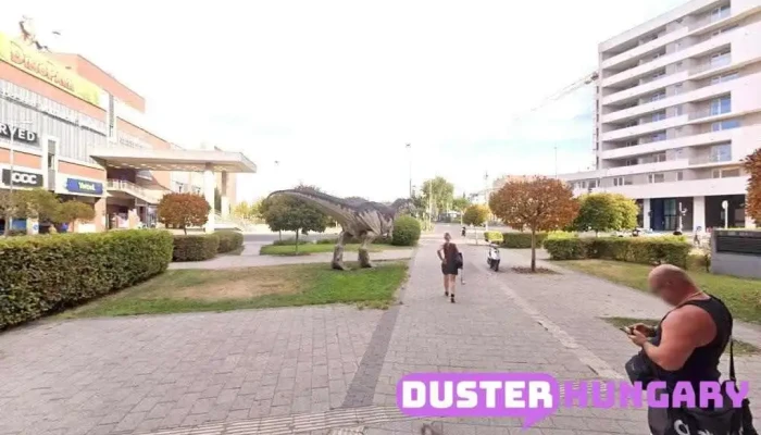 Báv Aukciósház és Záloghitel Zrt. - Budapest