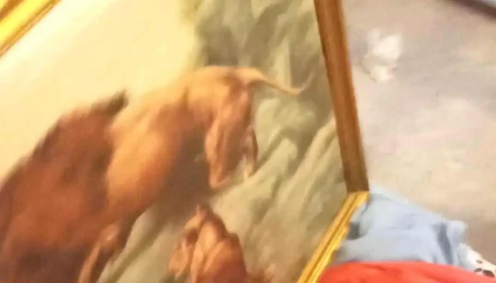 Bav Aukcioshaz Es Zaloghitel Zrt Videok - Berettyóújfalu