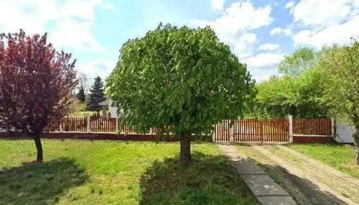 Bekesi Farm Kft Osszes - Csorvás
