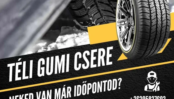 Beri Car Taksony -  A Tulajdonostol - Taksony