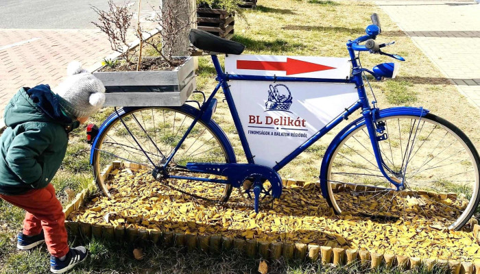 Bl Delikat Kozel Hozzam - Balatonlelle