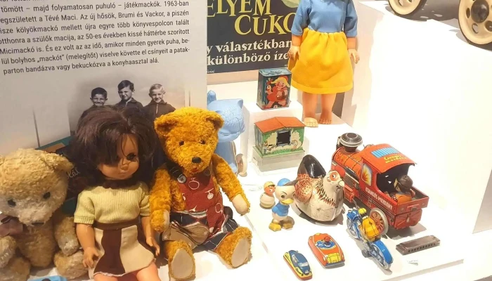 Bodrogkozi Muzeumporta Fotok - Cigánd