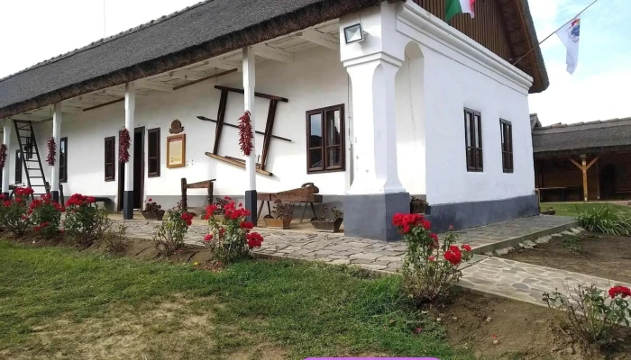 Bodrogkozi Muzeumporta Osszes - Cigánd