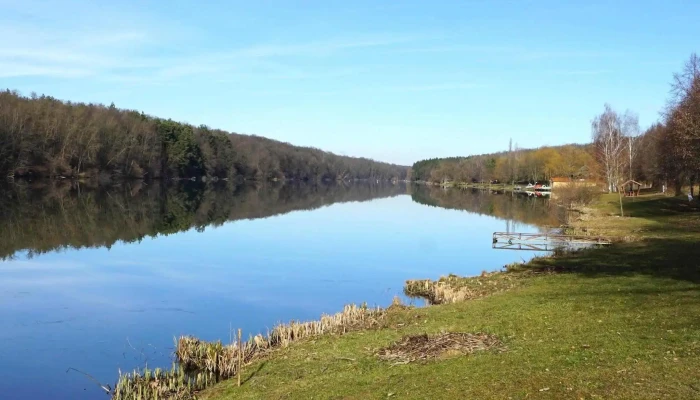 Borostyan To Cim - Zalalövő