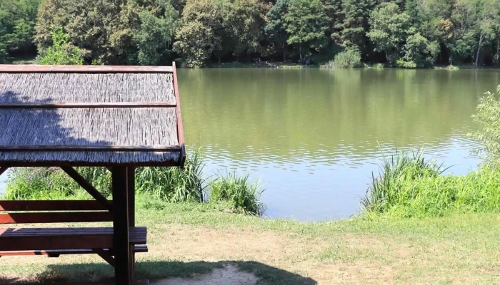 Borostyan To Instagram - Zalalövő
