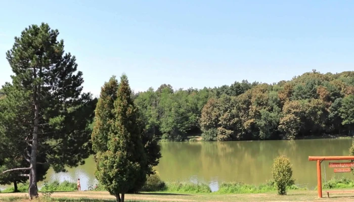Borostyan To Turistalatvanyossag - Zalalövő