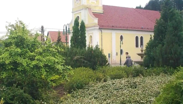 Budagyep Kft. - Borbála U. 6