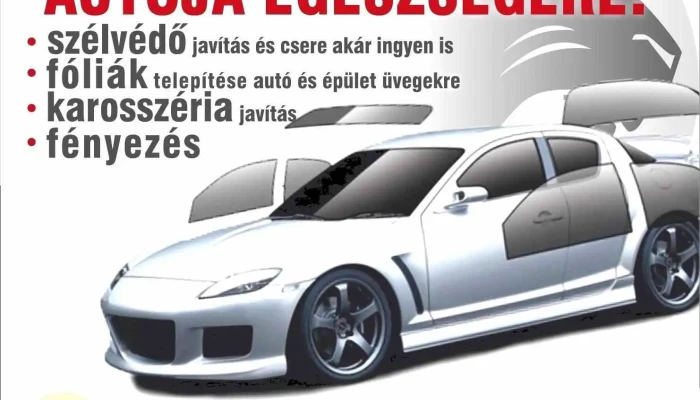 Colocar Auto -  Klinika Kft A Tulajdonostol - Andornaktálya