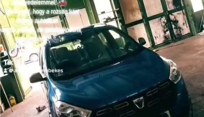 Csavas Alvazvedelem Bekes A Tulajdonostol - Békés