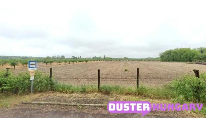 Csemő, Tőzeg dűlő - Csemő