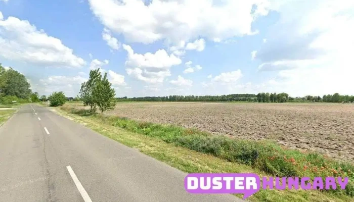 Csengőd, Borászat - Csengőd